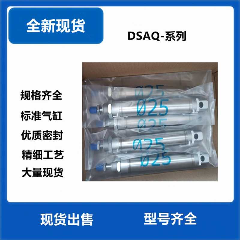 DSAQ气缸12-16-20-25-32-40-50--63-75-100-125-150-175-200PPV
