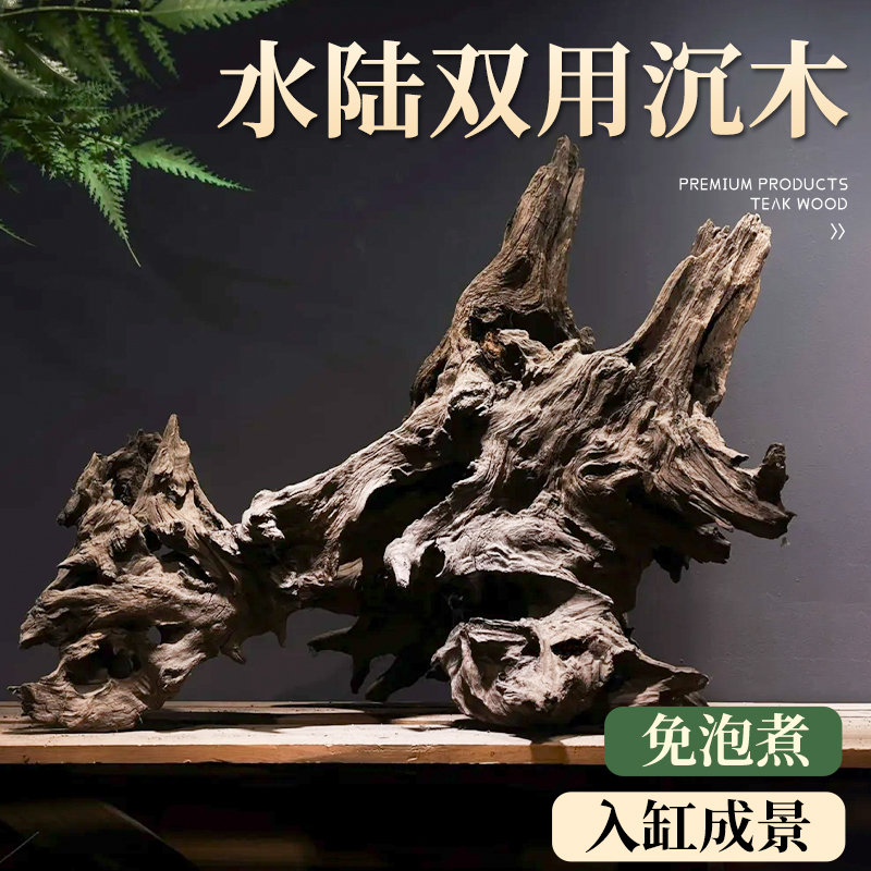 沉木鱼缸造景专用内饰摆件高级紫柚木蜥蜴守宫乌龟爬宠天然躲