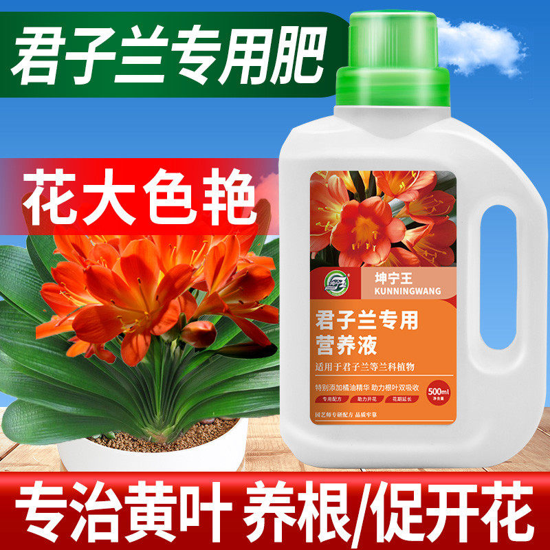 君子兰专用肥植物营养液兰花有机肥料兰科花卉盆栽促开花催花通用