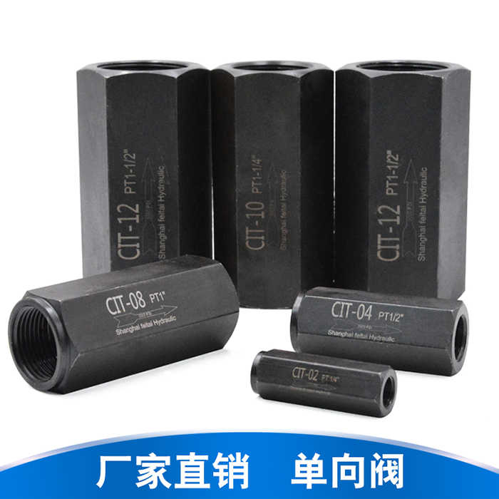液压直通单向阀 泵站配件油压CIT-06 3/4 CIT-08 1” CIT-10 11