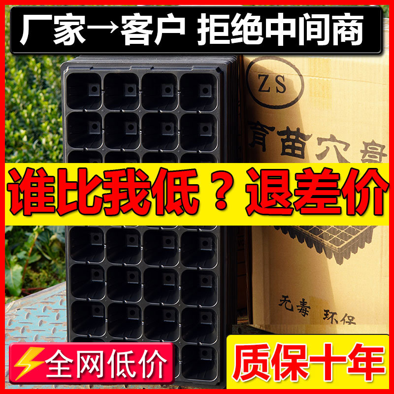 批发育苗盘穴盘育苗盆育苗盒营养钵营养杯育苗器专用培育箱