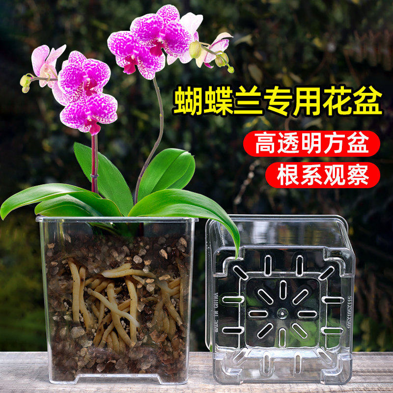 亚克力玻璃方形透明花盆塑料杯种植盆兰花蝴蝶兰专用花盆家用