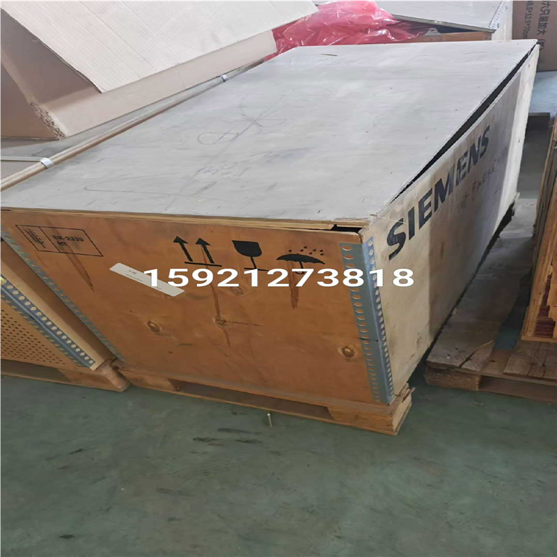 (询价)1PH8165-1DF23-0BA1-Z 主轴电机 全