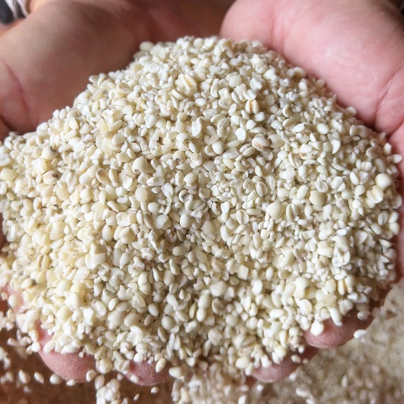 宁化薏米半碎小薏米仁软糯粘稠易煮农家薏米粥五谷杂粮500g