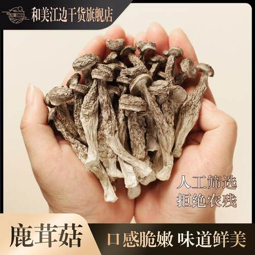 和美江边【小鹿茸菇】高山嫩仔菇菌菇干货营养炒菜煲汤菇类干货