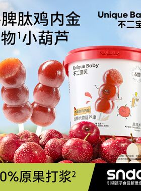 不二宝贝牛脾肽山楂六物棒棒糖葫芦串水果条搭婴幼儿童宝宝零食SW