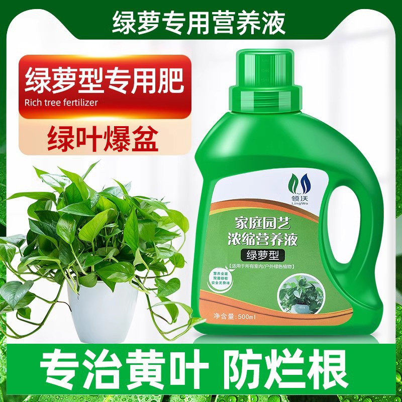 绿萝营养液专用肥绿箩营业液绿罗肥料家用植物花肥盆栽土培水