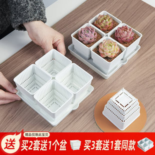美莳多肉控根花盆四方组合透气塑料花架专用小白方带底座托盘小号