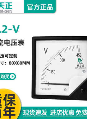 TENN天正电气 6L2-V电压表安装式仪表450V 500V交流指针表80*80