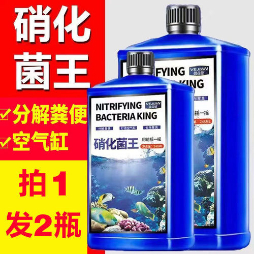 厂家直销】硝化细菌鱼缸用硝化菌消化活菌水质稳定清澈澄清净