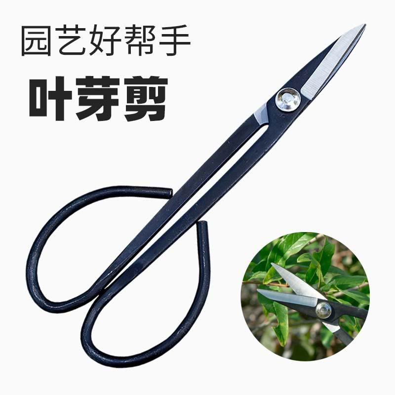园林剪整枝剪叶芽剪刀盆栽园艺剪刀盆景花剪修剪工具煅造树芽剪