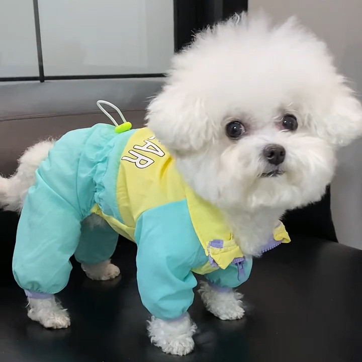 狗狗衣服春夏防尘裤小型犬四脚衣泰迪比熊外出防虫防脏防晒冲锋衣