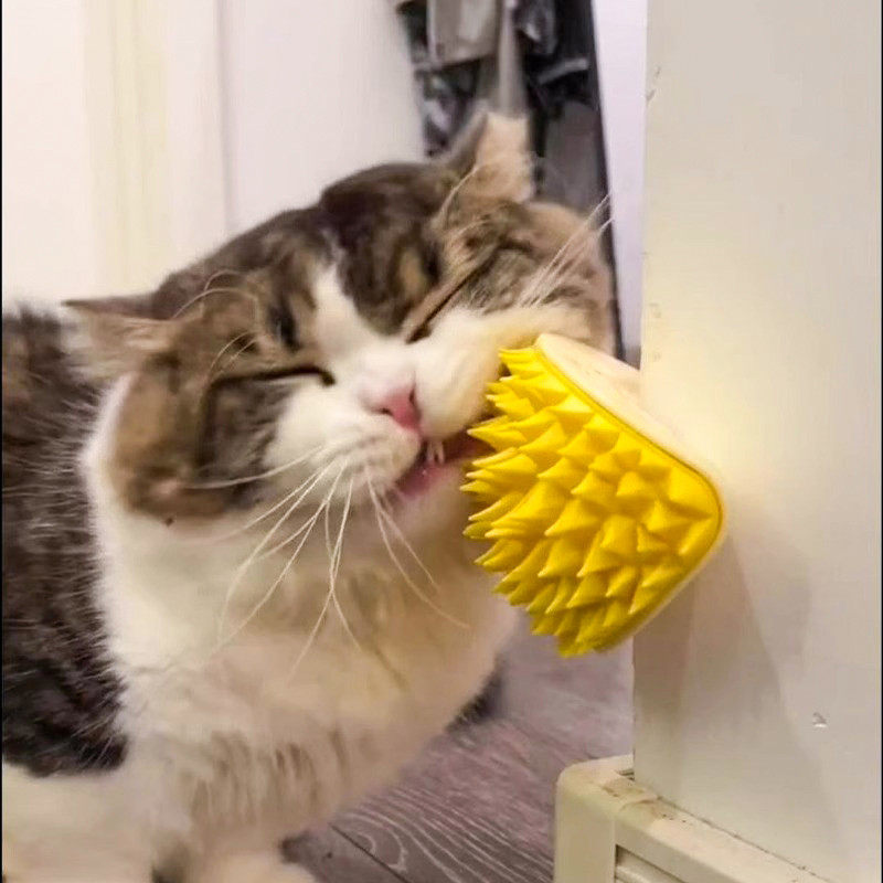 猫玩具榴莲蹭痒梳猫咪蹭痒神器墙角蹭毛猫抓板挠痒痒逗猫宠物用