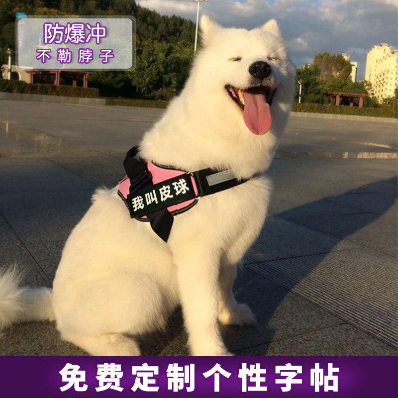 狗狗牵引绳绳背心式胸背带柴犬萨摩耶金毛中型大型犬遛狗绳狗链子