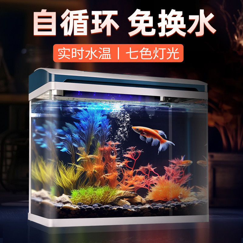新款金鱼缸客厅小型家用玻璃免打理生态过滤制氧一体机造景水族箱