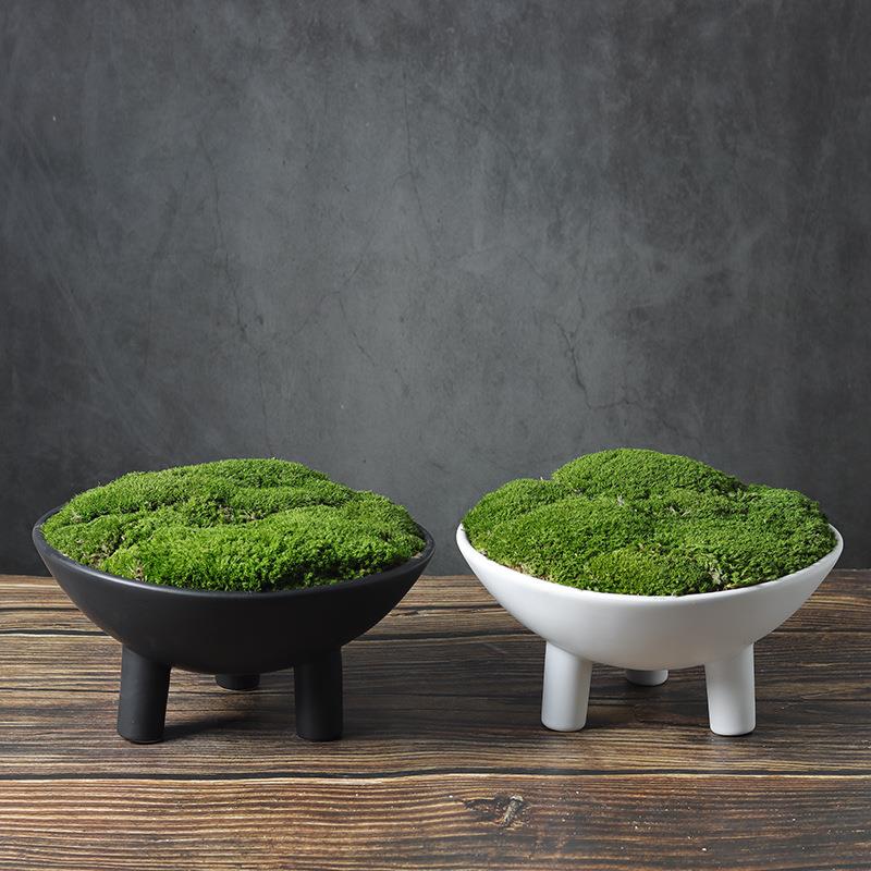 现代北欧新中式永生苔藓植物盆景家居样板房客厅书房桌面摆件花艺