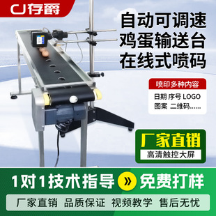 存爵可调控全自动喷码机输送台流水线激光打码机鸡蛋输送皮带定制