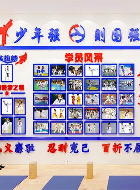 跆拳道馆装饰墙贴3d立体学员风采照片墙亚克力自粘贴武馆墙面装饰