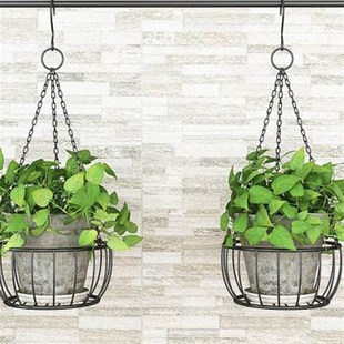 悬挂式 挂式 吊盆 绿萝吊兰盆挂架 花盆 吊挂花架 铁艺垂吊挂篮吊篮