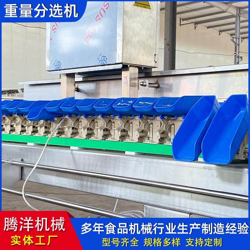 全自动料盒式螃蟹重量分选机分拣设备自动分级称,清洗/食品/商业设备,其他食品加工设备,淘宝优惠券,粉丝福利购,淘宝优惠卷
