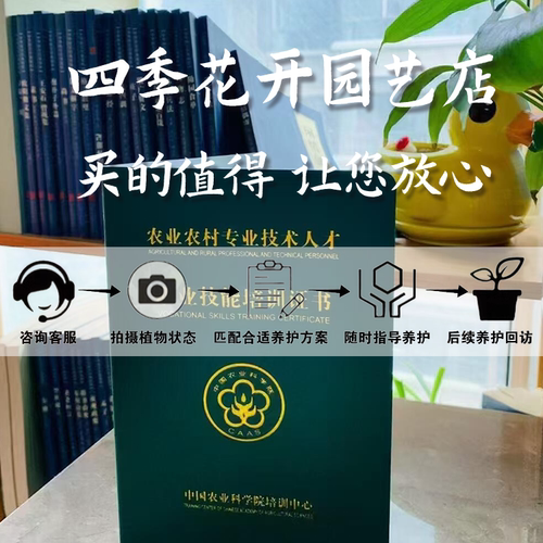 高级园艺师免费分析植物病害