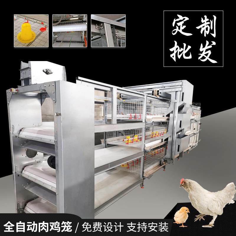 鸡笼三层传送带元宝肉鸡笼双体层叠式鸡舍机械养殖用框架全自动,畜牧/养殖物资,畜牧/养殖器械,淘宝优惠券,粉丝福利购,淘宝优惠卷