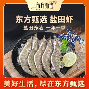 东方甄选自营盐田虾生冻1.2kg 鲜美饱满壳薄烧烤家宴 熟冻1.5kg