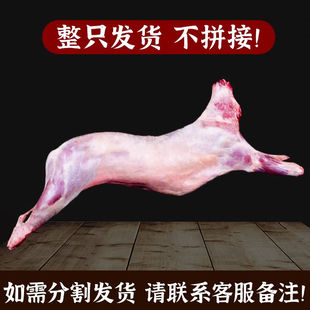 冰碴驹俐新疆羊肉新鲜小山羊全羊整只火锅烧烤食材羊排羊腿羊蝎子