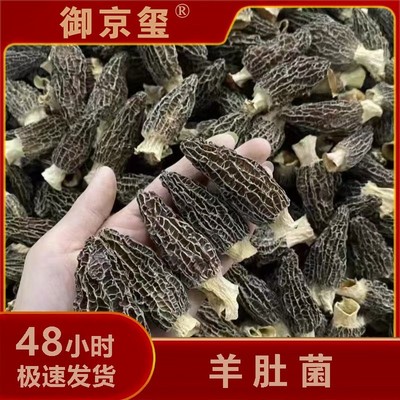 【晓君专属】冬季头茬新货中羊肚菌精选干货