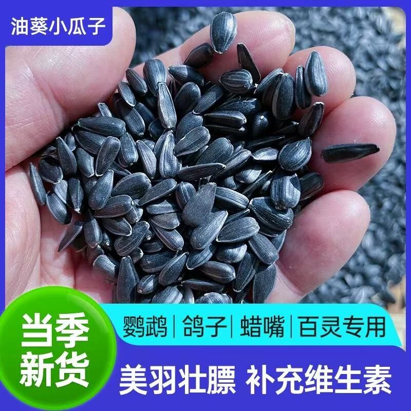 精品油葵籽鹦鹉鸟粮仓鼠鸽粮大颗粒小瓜子玄凤牡丹虎皮小太阳和尚