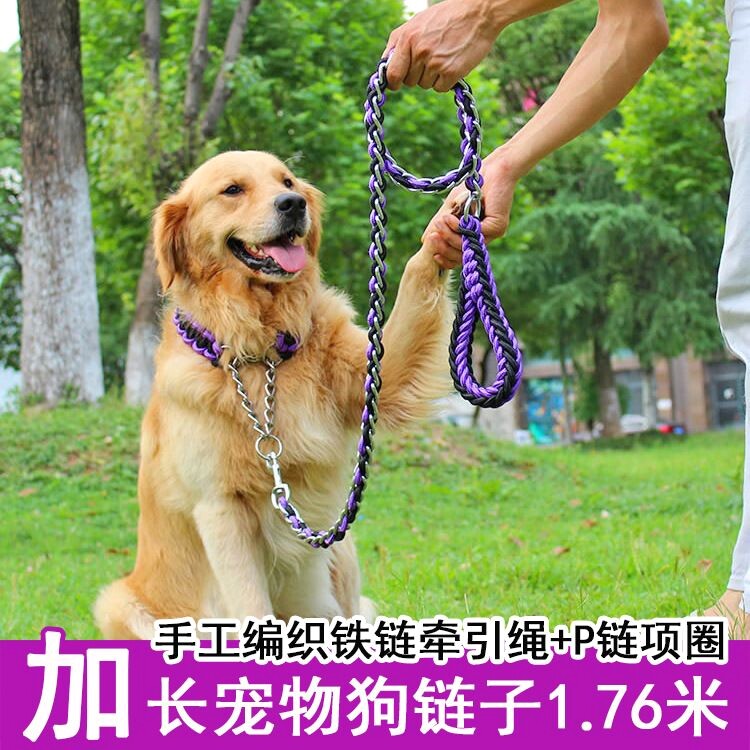 防咬狗链子加长铁链狗脖子项圈遛牵引绳拉布拉多中大型犬狗绳项圈