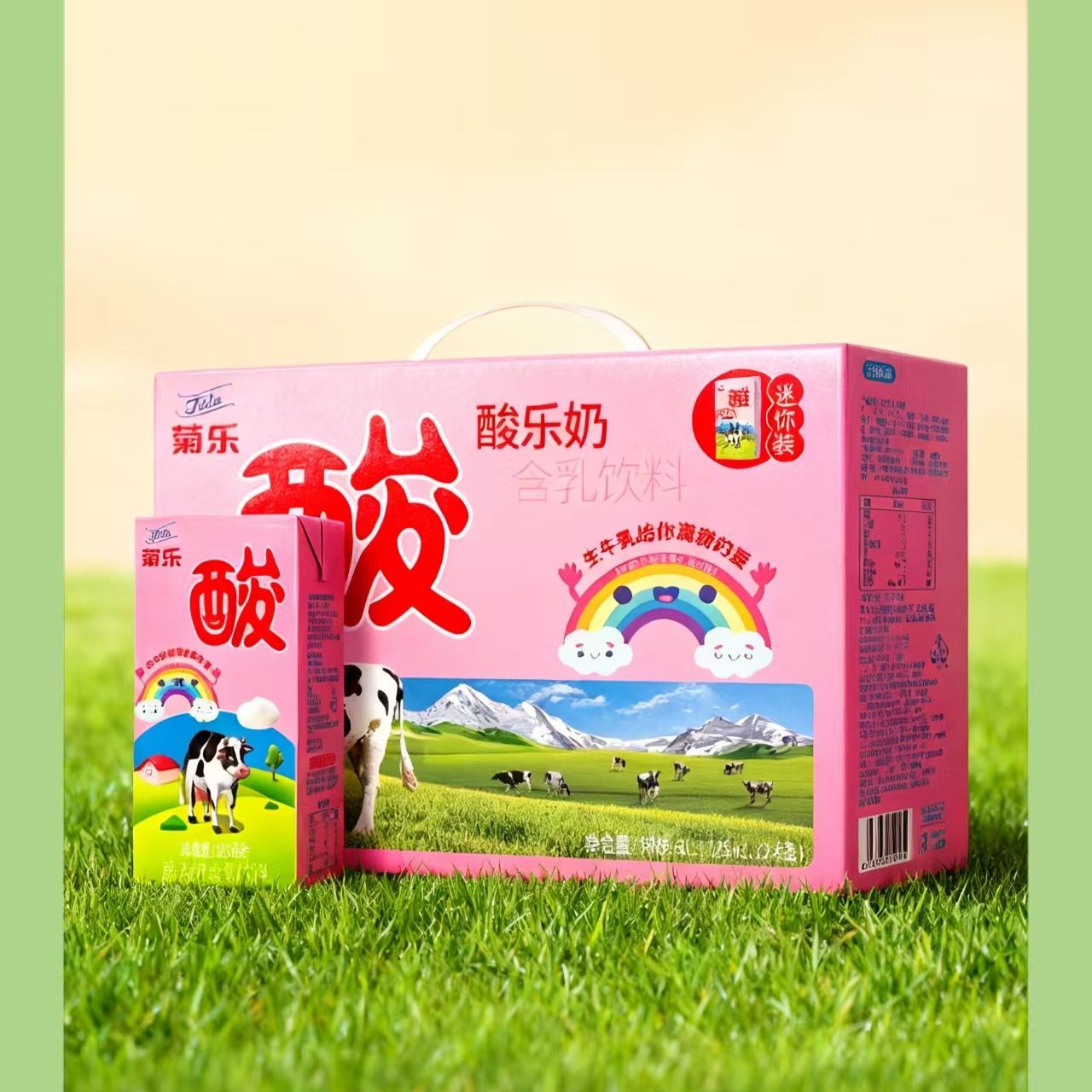 菊乐酸奶四川特产菊乐儿童酸奶125mlx12/24盒礼盒迷你版儿童酸奶