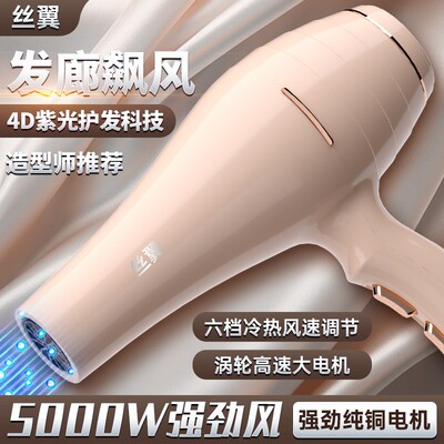 发廊吹风机大功率5000家用大风力3800理发店专用9000负离子护发W