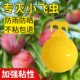 诱蝇球果树防虫柑橘大小船长花园诱捕器诱粘剂引诱剂厨房小飞虫板