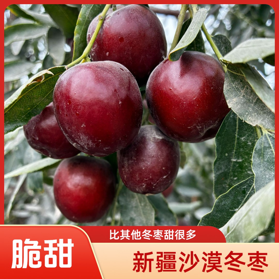 新疆直发 新疆沙漠冬枣皮薄肉厚香甜酥脆细腻甜美爽口新鲜好吃