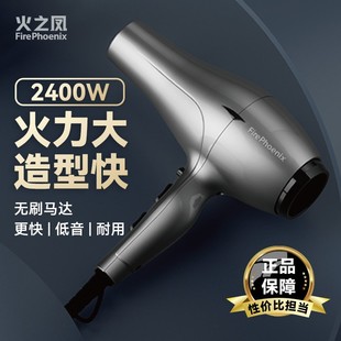 火之凤吹风机6600H理发店专用发廊发型师大功率大风力速干风筒