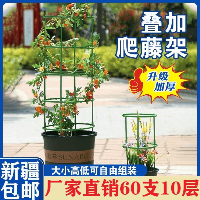 【新疆包邮】花架支架支撑圈自由拼接组装防倒伏大小爬藤架绿植园