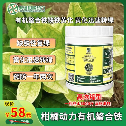 柑橘有机螯合铁缺铁性黄化EDDHA铁高浓缩型微量元素缺素转绿通用