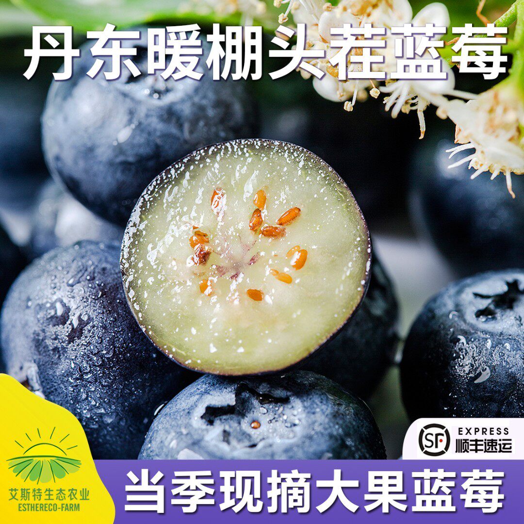 RUNJING-AISITE 正宗丹东宝宝蓝莓净重500g起 现摘现发内附果径卡