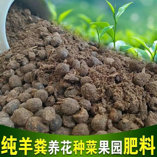 纯羊粪腐熟发酵颗粒肥羊粪蛋子养花种绿植蔬菜果树营养土基肥专用