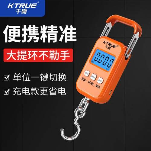 精准手提电子秤高精度便携式快递家用小型弹簧挂钩随身行李称