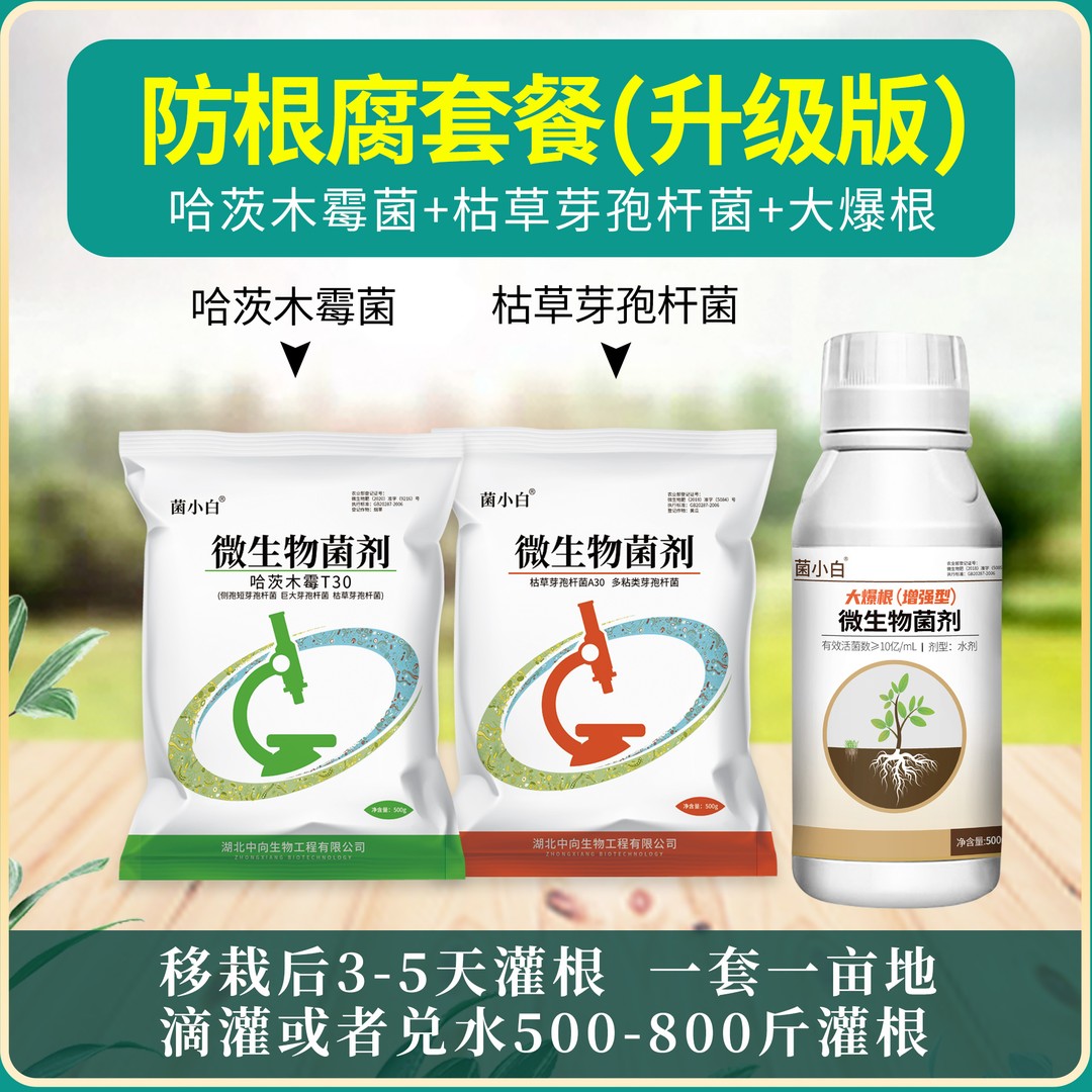 中向推荐套餐：大爆根+枯草芽孢杆菌+哈茨木霉菌