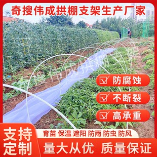 【拱棚支架】保温棚育苗棚花棚架子玻璃纤维杆家用农用蔬菜地支撑