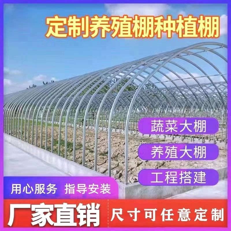 蔬菜大棚骨架温室养殖大棚全套保温养鸡鸭鹅猪牛羊舍大棚连体暖棚,农机/农具/农膜,温室大棚支架,淘宝优惠券,粉丝福利购,淘宝优惠卷