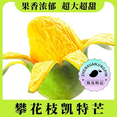 催熟变软后食用四川攀枝花凯特芒果5斤8斤大果多汁饱满产地直发