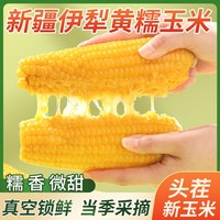 新疆伊犁黃糯玉米黃糯玉米微甜軟糯250g*8根真空包裝非轉(zhuǎn)基因