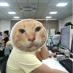 圆头耄耋双面抱枕