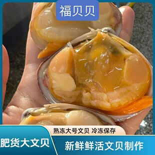 新货文贝熟的4袋大文贝400g/袋送1包黄蚬子冷冻保存