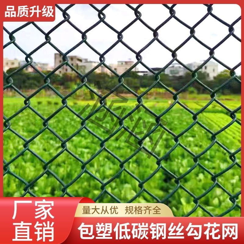 包胶网(首单直降)养鸡围栏网家用网围栏防锈铁丝网阳台花园网加粗