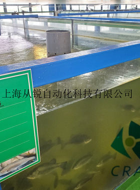 上海从锐宝石鲈罗非鱼工厂化循环水养殖处理系统/殖设备